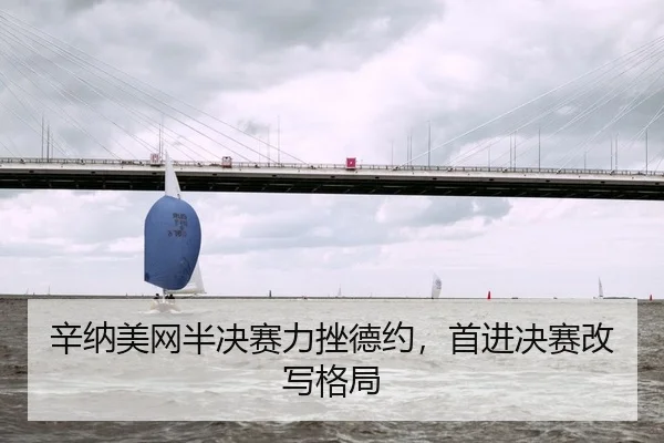 辛纳美网半决赛力挫德约，首进决赛改写格局